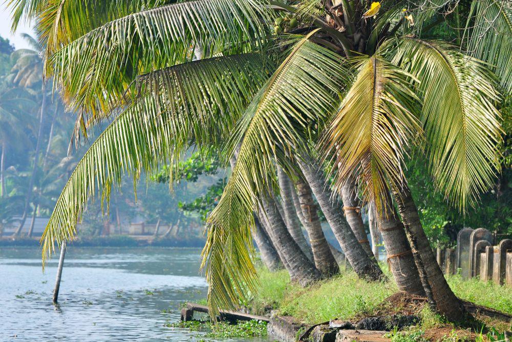 Vembanad Lake